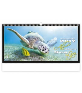 Nástěnný kalendář All About Sea Life 2017