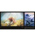 Wall calendar All About Sea Life 2017