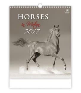 Wandkalender Horses in Motion 2017