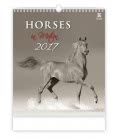 Wall calendar Horses in Motion 2017