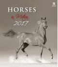 Wall calendar Horses in Motion 2017