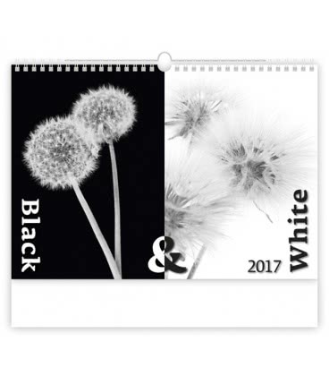 Wandkalender Black & White 2017