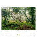 Nástěnný kalendář Les / Wald 2017