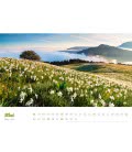 Wandkalender Alpenblühen 2017