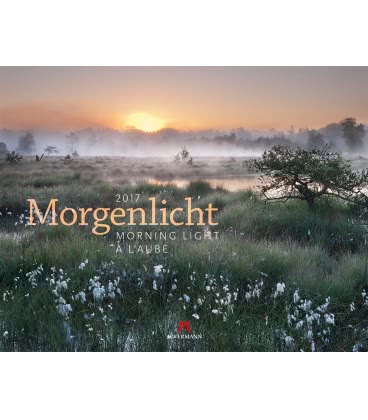 Nástěnný kalendář Ranní světlo / Morgenlicht 2017