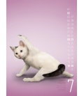 Nástěnný kalendář Yoga Cats 2017
