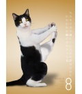 Wall calendar Yoga Cats 2017