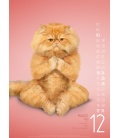 Nástěnný kalendář Yoga Cats 2017