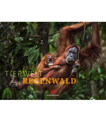 Wall calendar Tierwelt Regenwald 2017