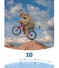 Nástěnný kalendář Sloní život / Elephant Life 2017