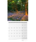 Nástěnný kalendář Kouzlo světla / Magie des Lichts 30 x 30 cm 2017