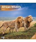 Nástěnný kalendář Africká divočina / African Wildlife 30 x 30 cm 2017