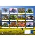 Wall calendar Bäume 2017