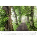 Wall calendar Bäume – Alleen 2017