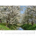 Wall calendar Bäume – Alleen 2017