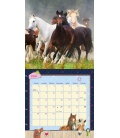 Wall calendar Pferdefreunde 2017