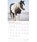 Nástěnný kalendář Koně / Pferde T&C 2017