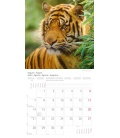 Wall calendar Wildlife T&C 2017