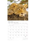 Nástěnný kalendář Divočina / Wildlife T&C 2017