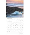 Wall calendar Meditation T&C 2017