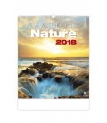 Wall calendar Mysterious Nature 2018
