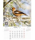 Nástěnný kalendář Zpěvní ptáci 2018