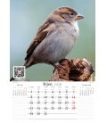 Nástěnný kalendář Zpěvní ptáci 2018