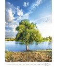 Nástěnný kalendář Stromy - Trees 2018