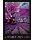 Nástěnný kalendář Coloured Days 2018
