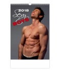Nástěnný kalendář Sexy Boys 2018