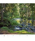 Nástěnný kalendář Les - Forest 2018