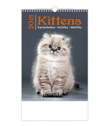 Nástěnný kalendář Kočičky - Kittens 2018