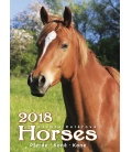 Wall calendar Koně - Horses 2018
