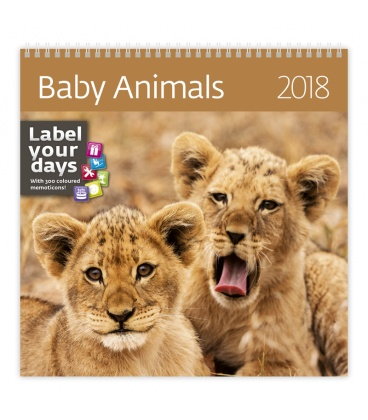Nástěnný kalendář Baby Animals 2018