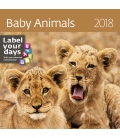 Nástěnný kalendář Baby Animals 2018