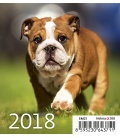 Stolní kalendář Prima Fresh 2018