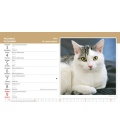 Stolní kalendář Kočky/Mačky 2018