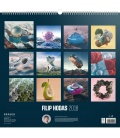 Wandkalender Filip Hodas 2018