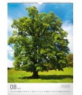 Nástěnný kalendář Stromy 2018