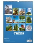 Wall calendar Trees 2018