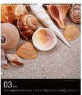 Nástěnný kalendář Klenoty moře 2018