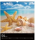 Nástěnný kalendář Klenoty moře 2018