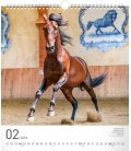 Wandkalender Horses 2018