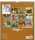 Wandkalender Dogs 2018