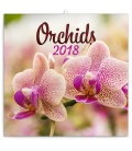 Wandkalender Orchids 2018