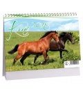 Tischkalender Koně 2018