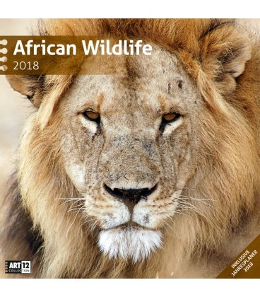 Wall calendar  African Wildlife 30x30 2018