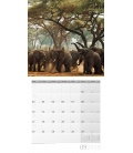 Nástěnný kalendář Africká divočina / African Wildlife 30x30 2018