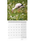Nástěnný kalendář Zvířata v lese / Heimische Wildtiere 30x30 2018