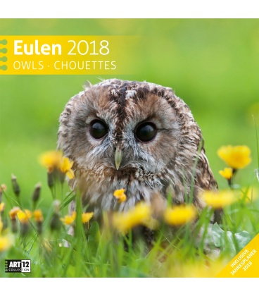 Nástěnný kalendář Sovy / Eulen 30x30 2018